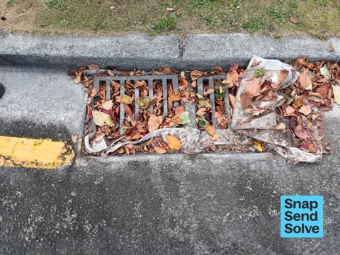 Street Gutters / Storm Water, a report photo