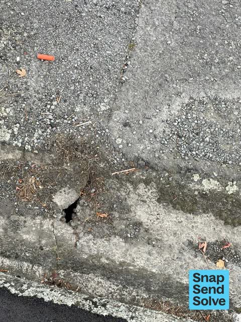 Street Gutters / Storm Water, a report photo
