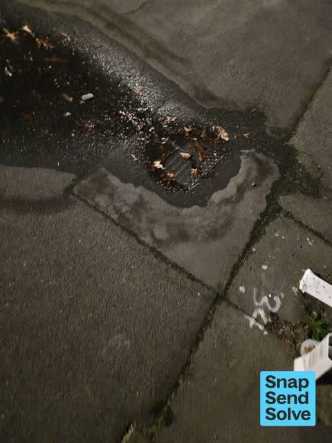 Water Leak, a report photo
