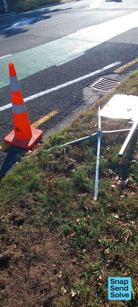 Litter, a report photo