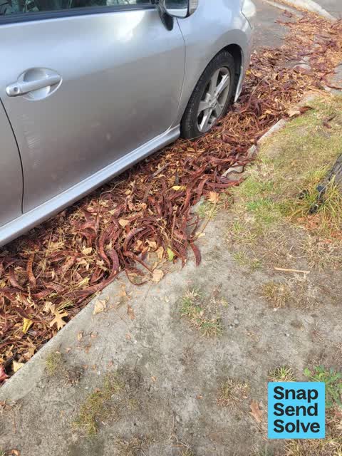 Street Cleaning, a report photo