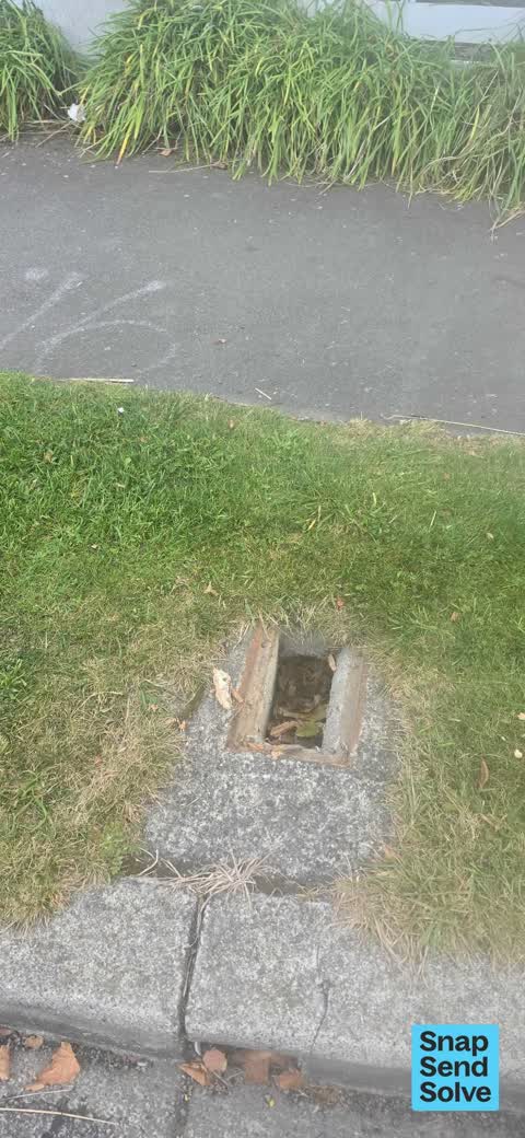 Street Gutters / Storm Water, a report photo