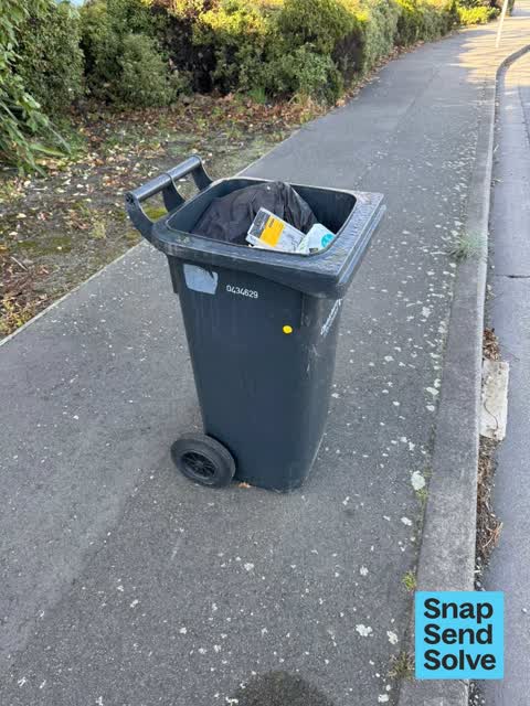 Rubbish and Bins - General, a report photo