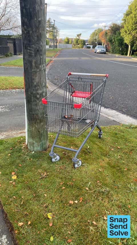 General Request, a report photo