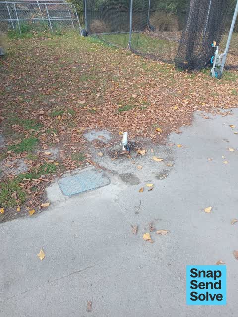 Water Fountain — a report photo