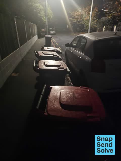 Rubbish and Bins - General, a report photo