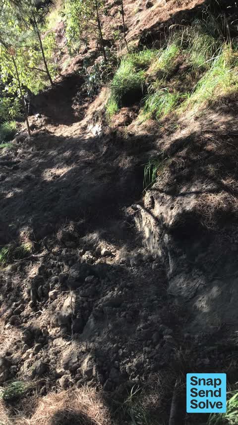 Park - General Request, a report photo