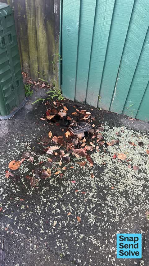 Water Leak, a report photo