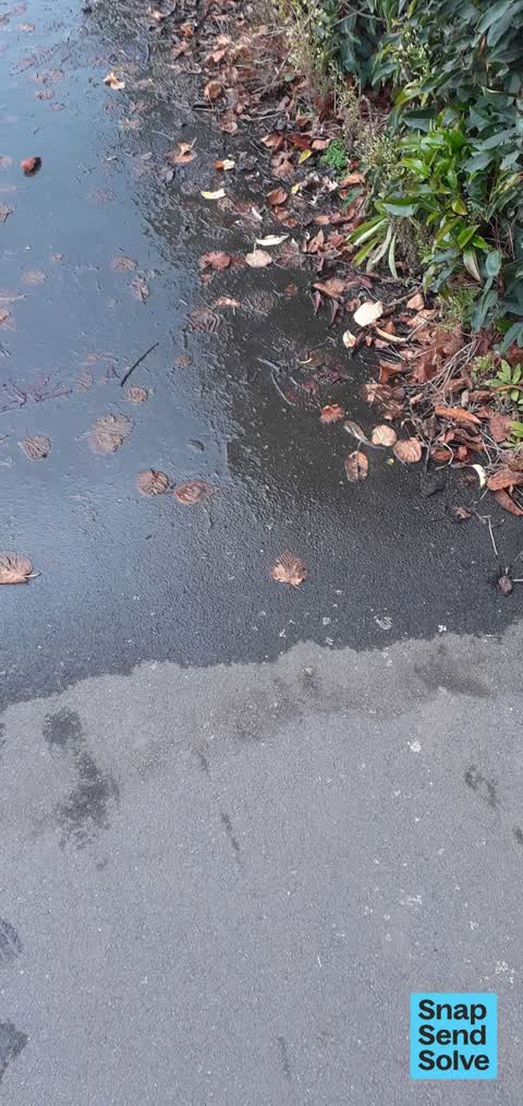 Water Leak, a report photo