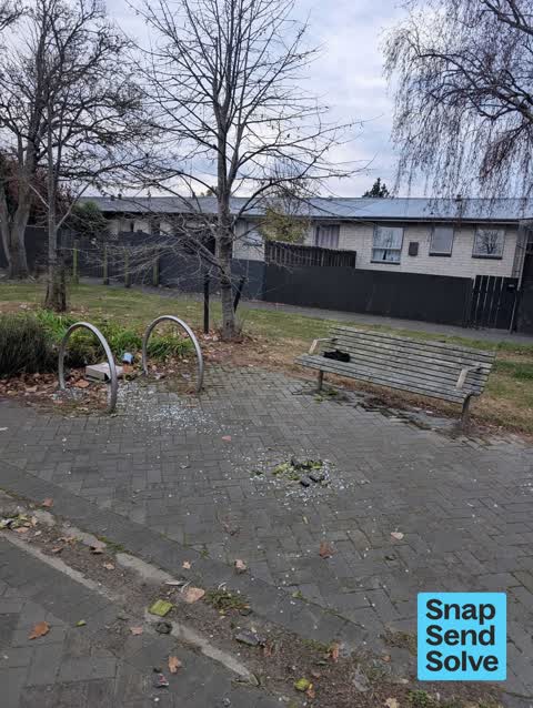 Litter, a report photo