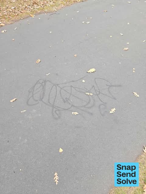 Graffiti on a road, footpath or bridge — a report photo