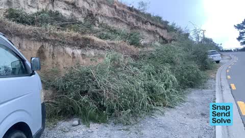 Park - General Request, a report photo