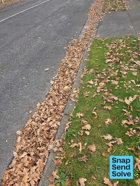 Street Gutters / Storm Water, a report photo
