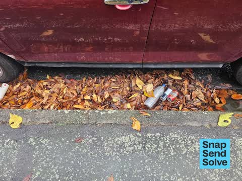 Street Gutters / Storm Water, a report photo