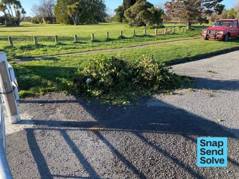 Dumped Rubbish, a report photo