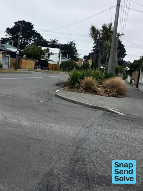 Overgrown Vegetation, a report photo
