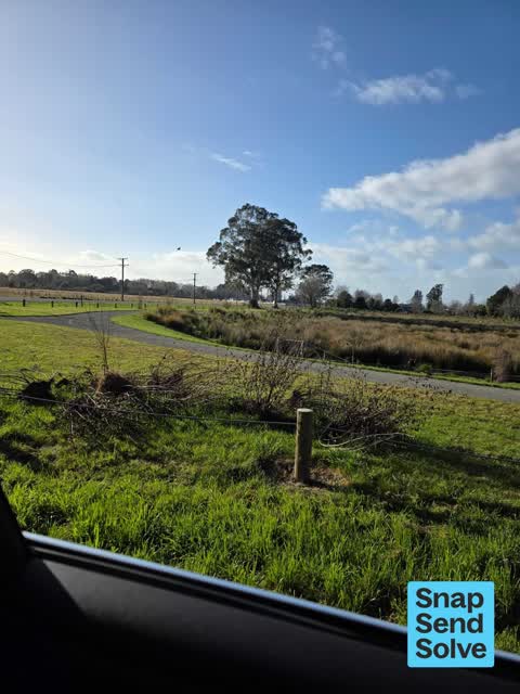 Dumped Rubbish, a report photo
