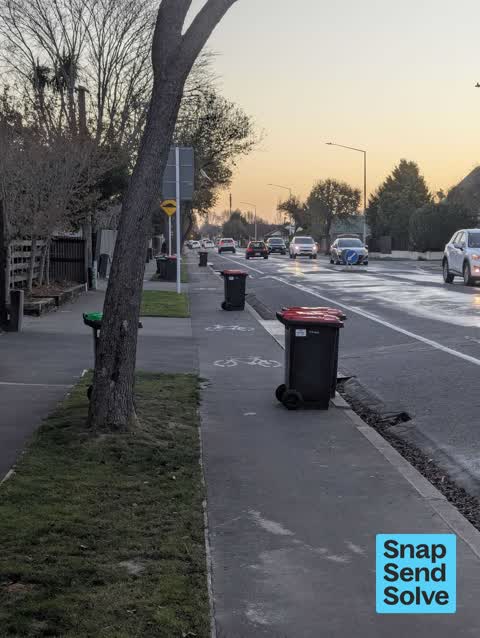 Rubbish and Bins - General, a report photo