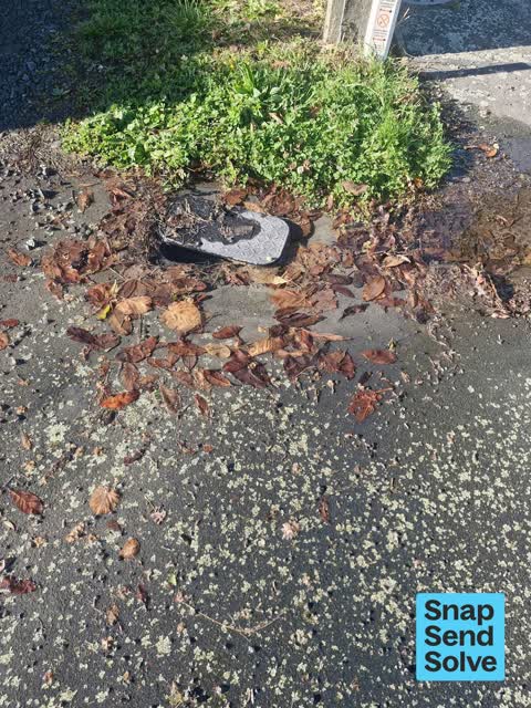 Water Leak, a report photo