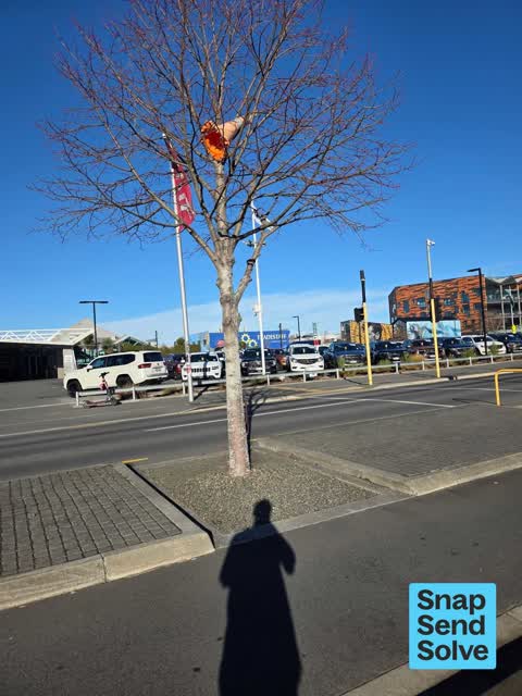 Park - General Request — a report photo