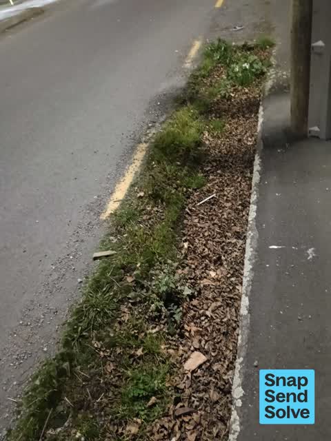 Street Gutters / Storm Water — a report photo