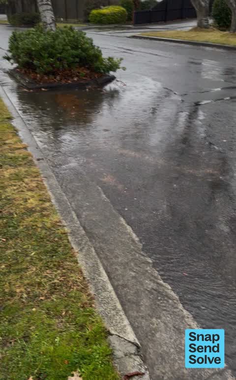 Flooding, a report photo