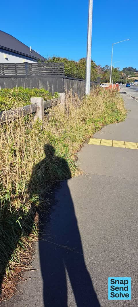 Overgrown Vegetation, a report photo
