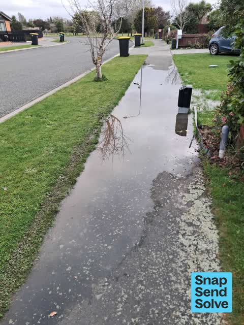 Water Leak, a report photo