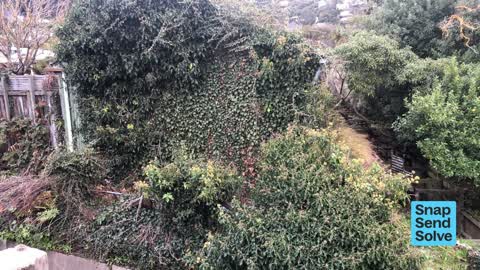 Street Gutters / Storm Water, a report photo