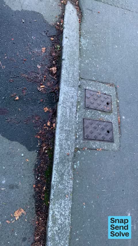 Water Leak, a report photo