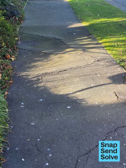 Pavement - Damaged, a report photo