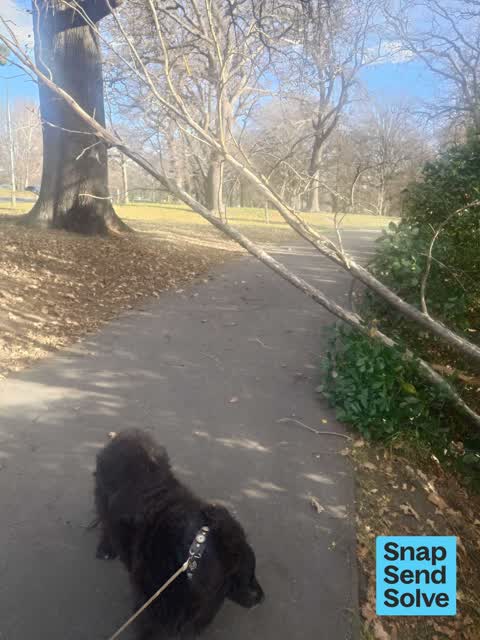 Park - General Request, a report photo