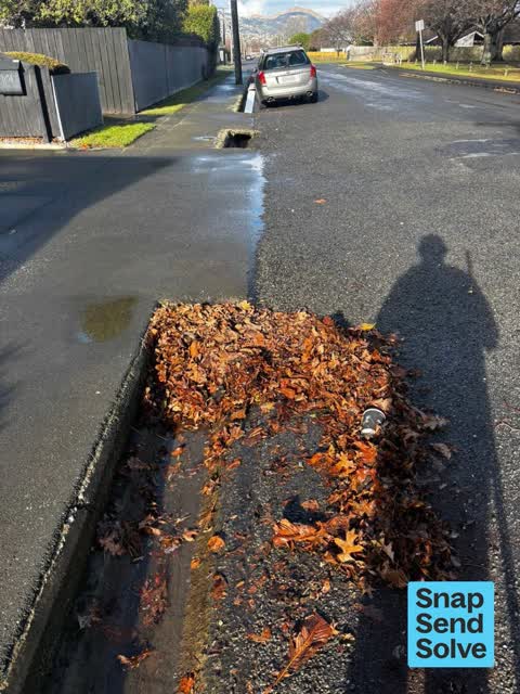 Street Gutters / Storm Water, a report photo