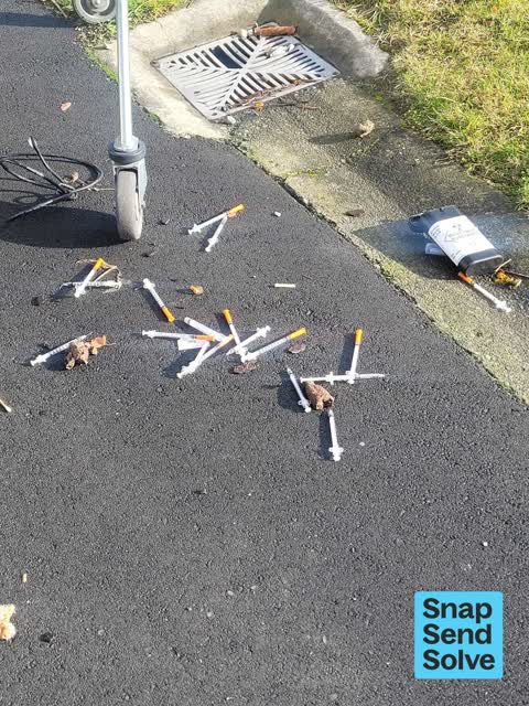 General Request, a report photo