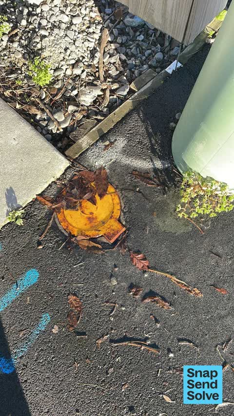 Water Leak, a report photo