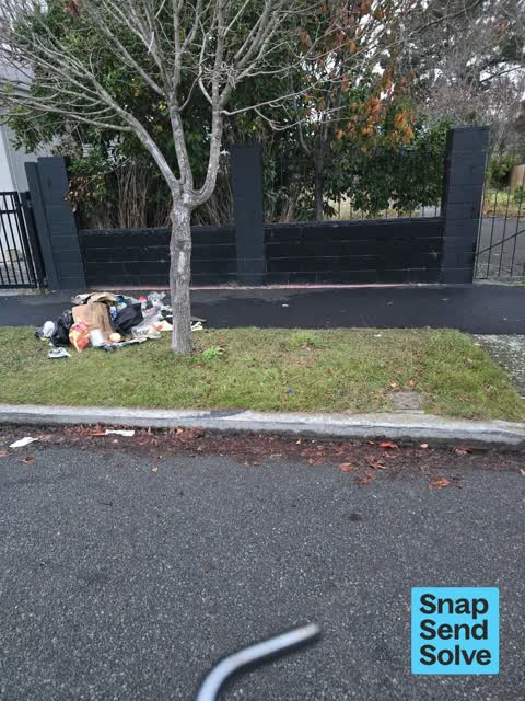 Dumped Rubbish — a report photo