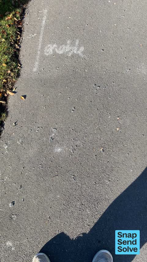 Litter, a report photo