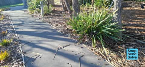 Park - General Request, a report photo