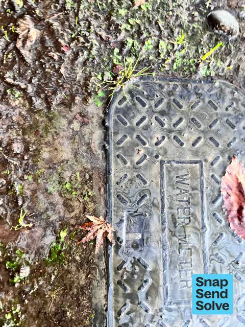 Water Leak, a report photo