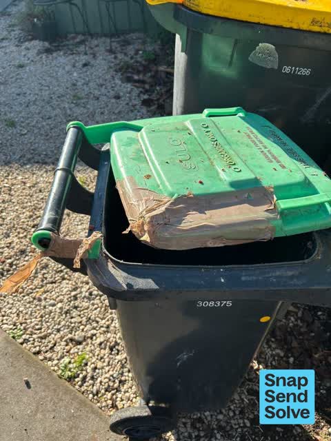 Rubbish and Bins - General — a report photo