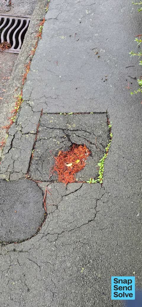 Pavement - Damaged, a report photo