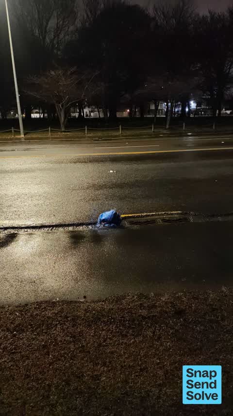 Dumped Rubbish, a report photo