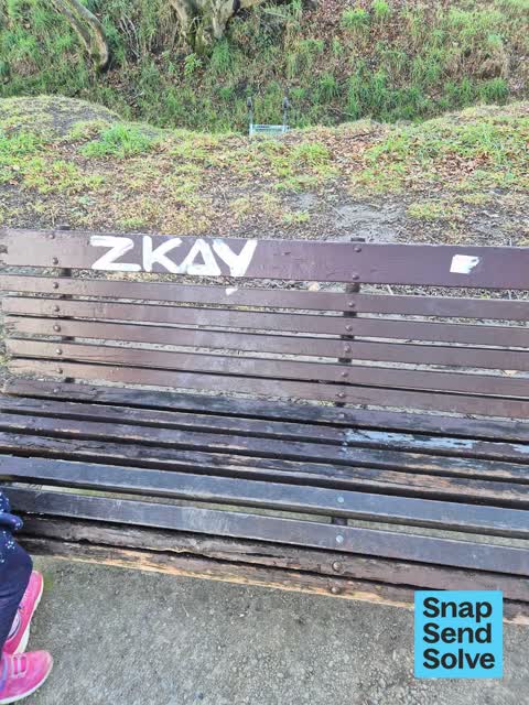 Graffiti on a playground or in a park, a report photo