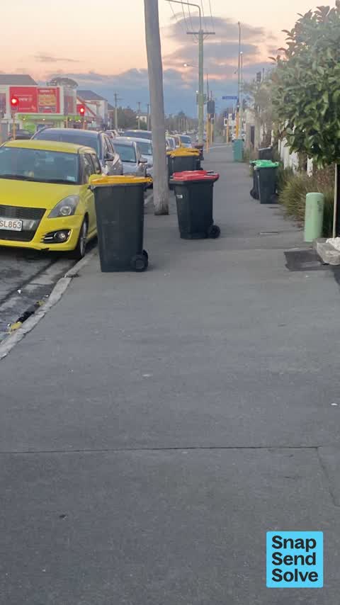 Rubbish and Bins - General, a report photo