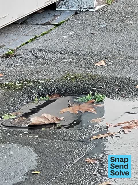 Water Leak, a report photo