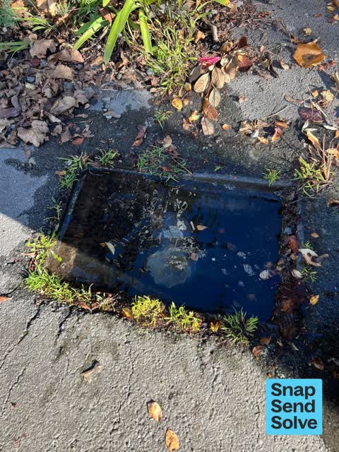 Water Leak, a report photo