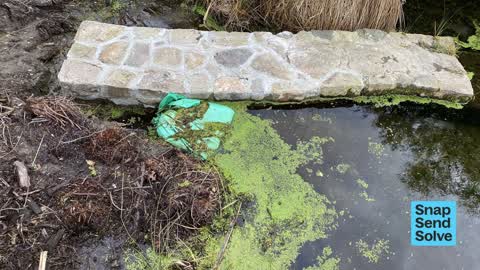 Park - General Request, a report photo