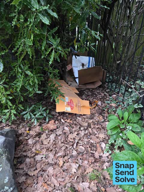 Dumped Rubbish, a report photo