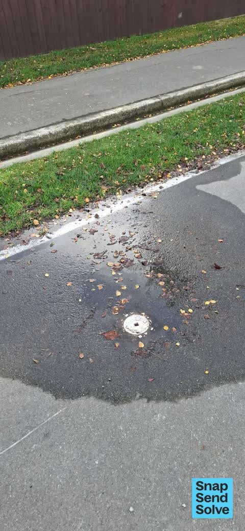 Water Leak, a report photo