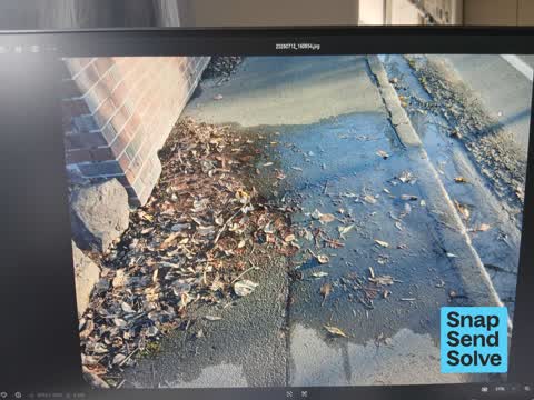 Water Leak, a report photo